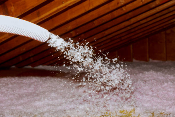 Best Specialized Insulation Services in Arlington, NE