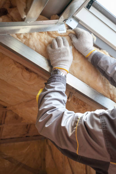 Best Spray Foam Insulation in Arlington, NE
